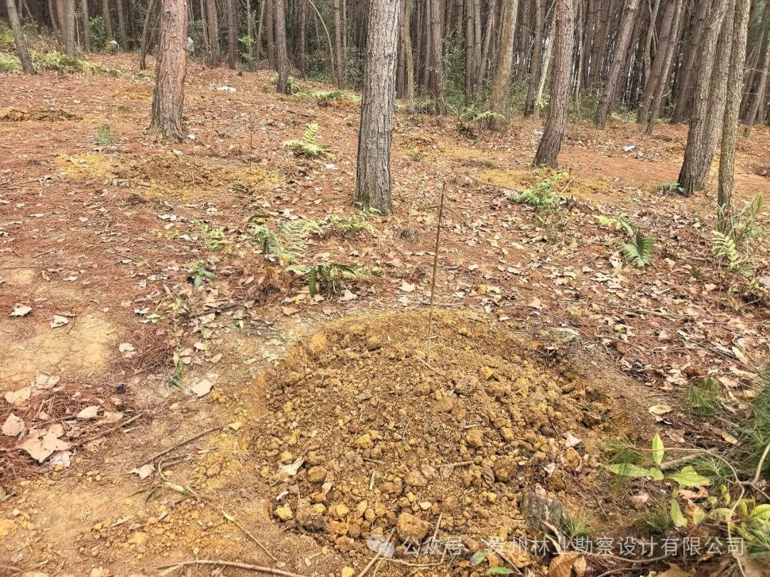 640?wx_fmt=jpeg&from=appmsg 图片